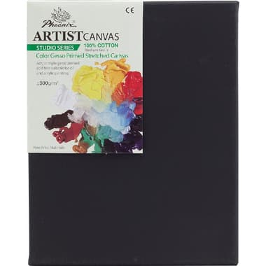 Phoenix Artist's Studio Stretched Canvas
Rectangle, Color Gesso Primed, Medium Grain, 8 X 10 in