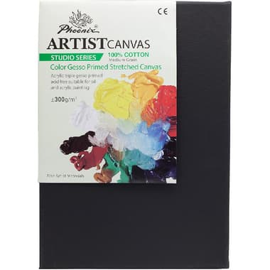 Phoenix Artist's Studio Stretched Canvas
Rectangle, Color Gesso Primed, Medium Grain, 10" X 14"