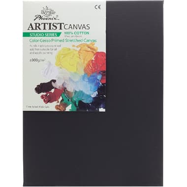 Phoenix Artist's Studio Stretched Canvas
Rectangle, Color Gesso Primed, Medium Grain, 12 X 16 in