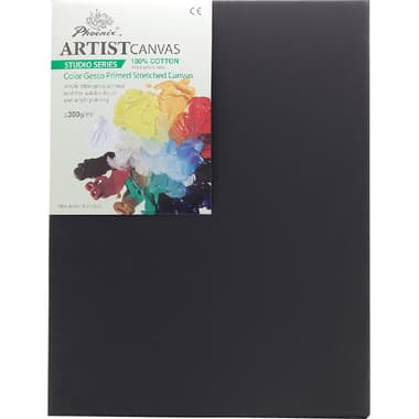 Phoenix Artist's Studio Stretched Canvas
Rectangle, Color Gesso Primed, Medium Grain, 14" X 18"