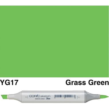 COPiC Sketch YG-17 Graphic Art Marker
Grass Green, Twin Tip