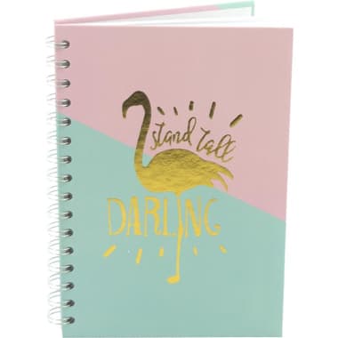 Roco Flamingo Notebook
"Stand Tall Darling", A5, 100 Sheets, Lined, Pink/Green/Gold