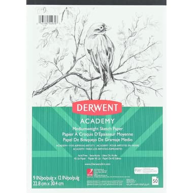 Mead Sketch Pad
White, 9 X 12 in, 50 Sheets