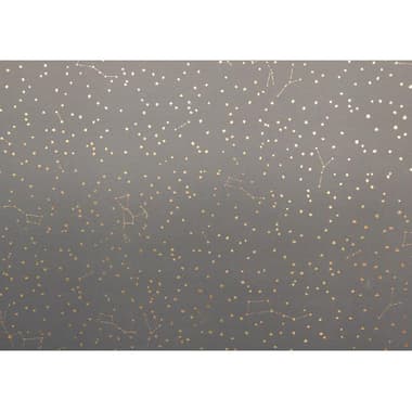 American Craft Poster Board
Astro Navy, 28.00 in ( 71.12 cm )X 22.00 in ( 55.88 cm )