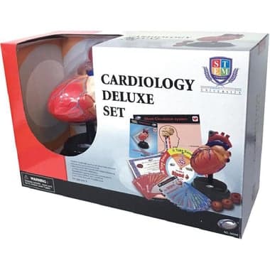 Eastcolight STEM University Cardiology Deluxe Science Learning Activity Set